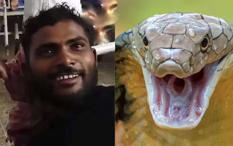 विहारमा एक युवकले टोक्दा सर्प मर्यो, सर्पले टोकेका युवक सुरक्षित