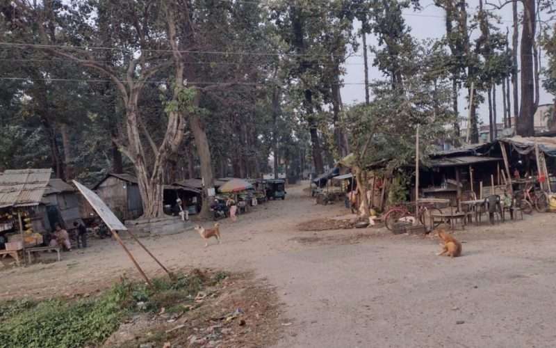 चारआली जंगल अतिक्रमण गरी बनाइएका टहरा भत्काइँदै