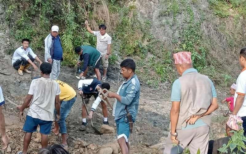 माई नगरपालिकामा श्रमदान अभियान सञ्चालन, १५ किलोमिटर सडक मर्मत तथा झाडी सफाइ सम्पन्न