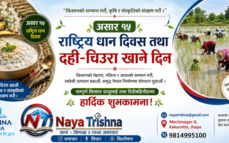 असार १५: राष्ट्रिय धान दिवस तथा दही–चिउरा खाने दिन