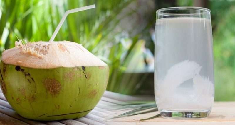 गर्मीमा यसकारण नरिवल पानी पिउने